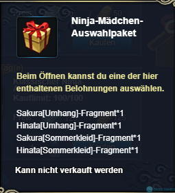 Ninja-Mädchen-Auswahlpaket